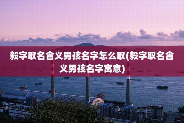 毅字取名含义男孩名字怎么取(毅字取名含义男孩名字寓意)