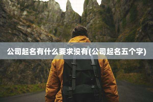 公司起名有什么要求没有(公司起名五个字)