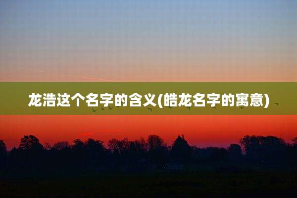 龙浩这个名字的含义(皓龙名字的寓意)