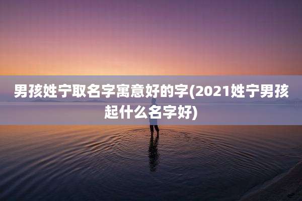 男孩姓宁取名字寓意好的字(2021姓宁男孩起什么名字好)