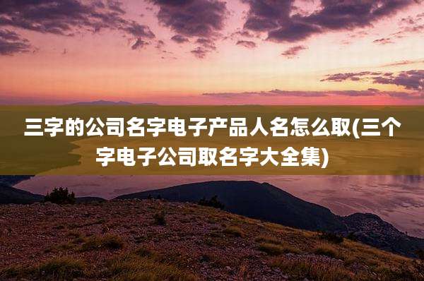 三字的公司名字电子产品人名怎么取(三个字电子公司取名字大全集)