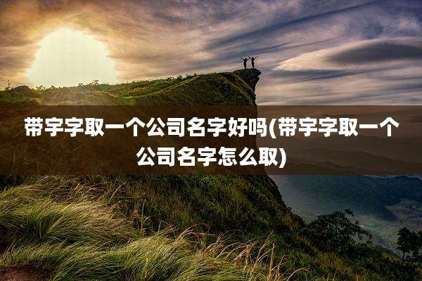 带宇字取一个公司名字好吗(带宇字取一个公司名字怎么取)