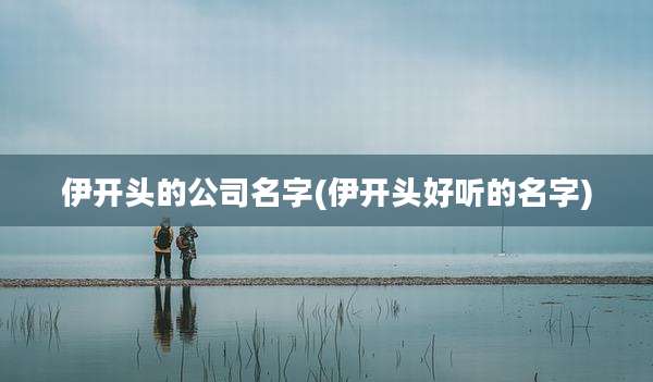 伊开头的公司名字(伊开头好听的名字)