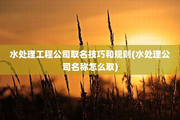 水处理工程公司取名技巧和规则(水处理公司名称怎么取)