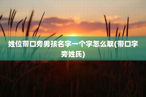 姓位带口旁男孩名字一个字怎么取(带口字旁姓氏)