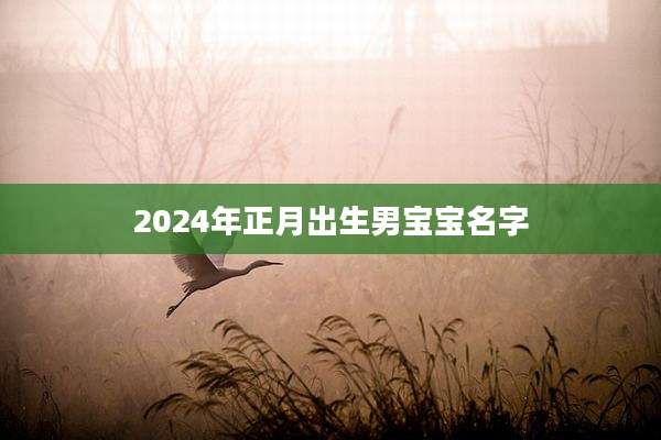 2024年正月出生男宝宝名字