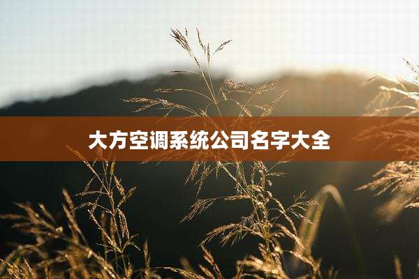 大方空调系统公司名字大全