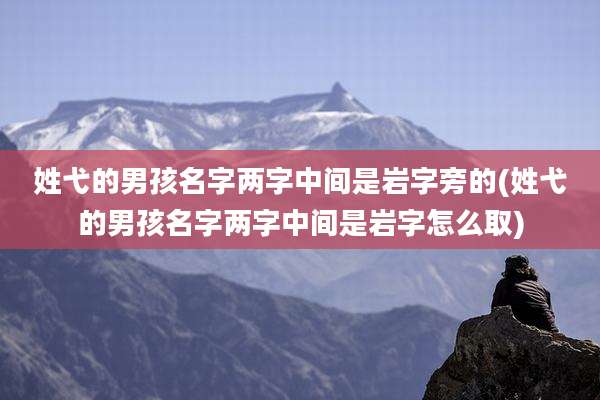 姓弋的男孩名字两字中间是岩字旁的(姓弋的男孩名字两字中间是岩字怎么取)