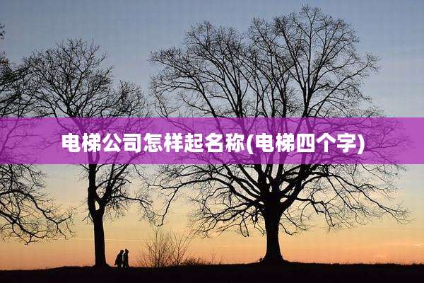 电梯公司怎样起名称(电梯四个字)