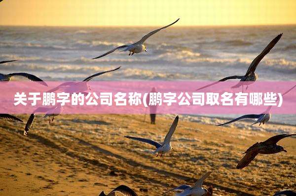 关于鹏字的公司名称(鹏字公司取名有哪些)