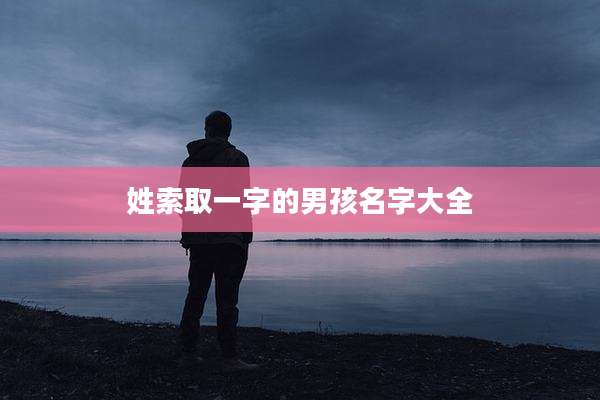 姓索取一字的男孩名字大全