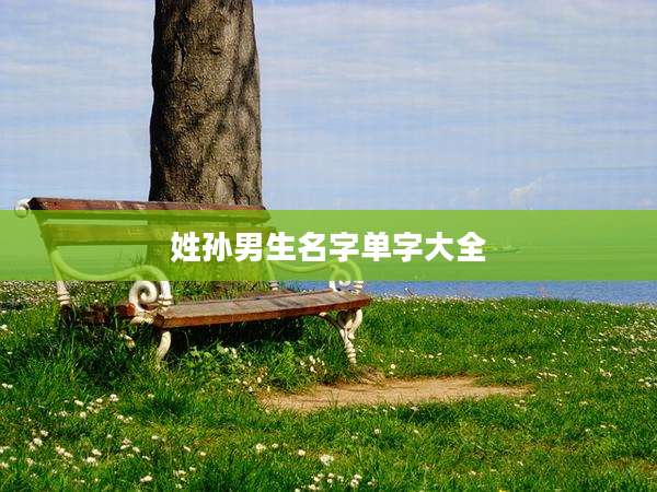 姓孙男生名字单字大全