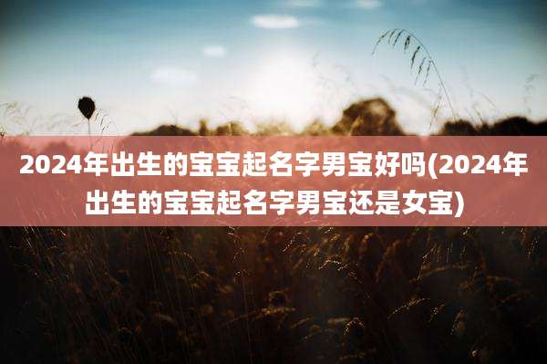 2024年出生的宝宝起名字男宝好吗(2024年出生的宝宝起名字男宝还是女宝)