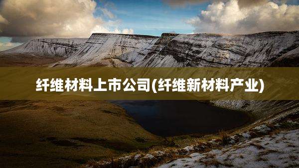 纤维材料上市公司(纤维新材料产业)
