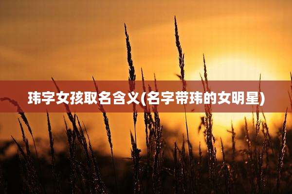 玮字女孩取名含义(名字带玮的女明星)