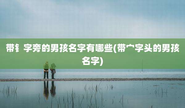 带钅字旁的男孩名字有哪些(带宀字头的男孩名字)