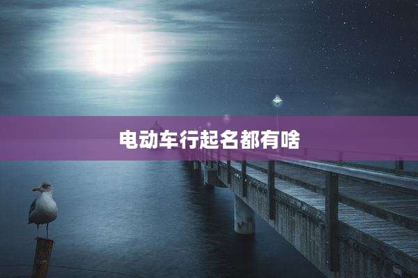 电动车行起名都有啥