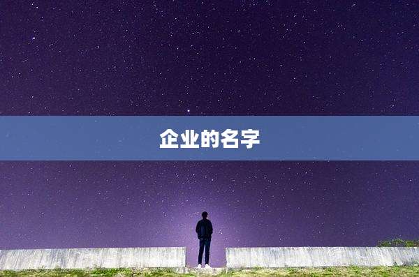 企业的名字