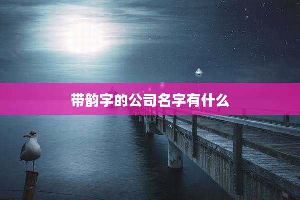 带韵字的公司名字有什么