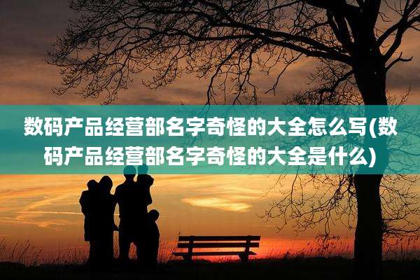 数码产品经营部名字奇怪的大全怎么写(数码产品经营部名字奇怪的大全是什么)