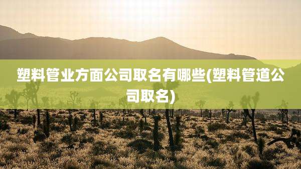 塑料管业方面公司取名有哪些(塑料管道公司取名)