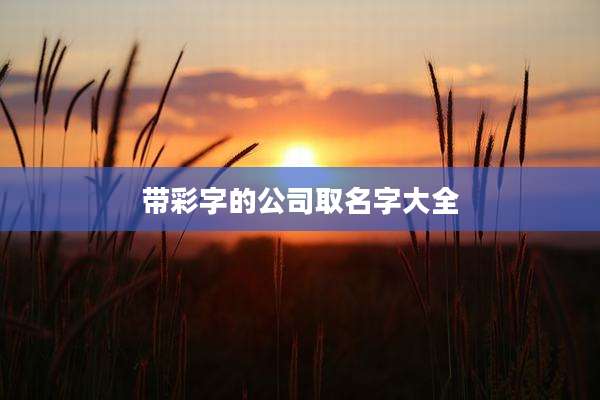 带彩字的公司取名字大全