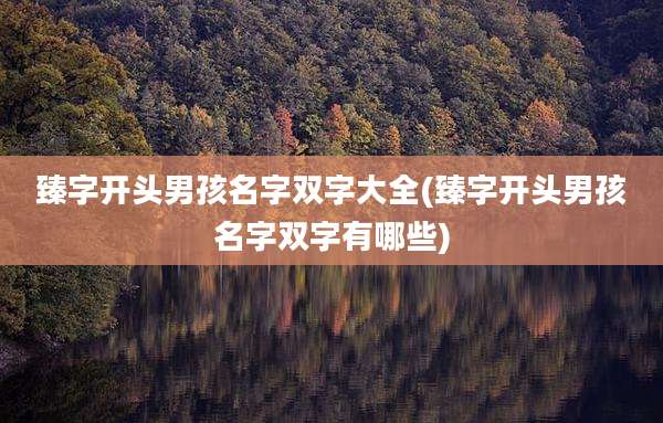 臻字开头男孩名字双字大全(臻字开头男孩名字双字有哪些)