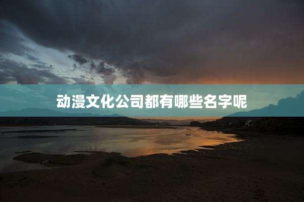 动漫文化公司都有哪些名字呢