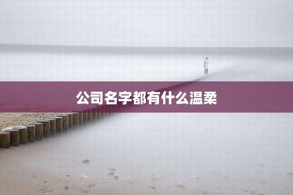 公司名字都有什么温柔