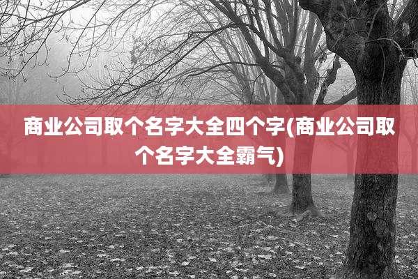 商业公司取个名字大全四个字(商业公司取个名字大全霸气)