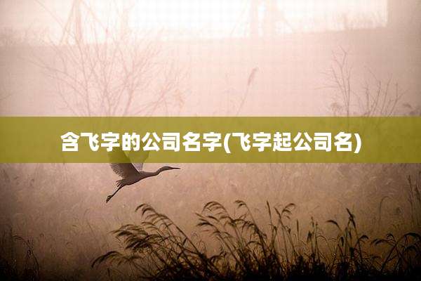 含飞字的公司名字(飞字起公司名)