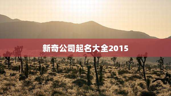新奇公司起名大全2015