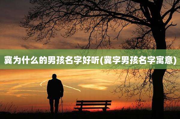 冀为什么的男孩名字好听(冀字男孩名字寓意)