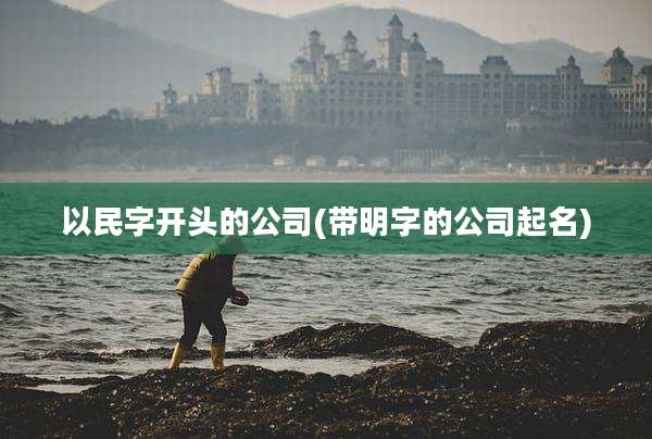 以民字开头的公司(带明字的公司起名)