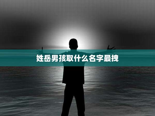 姓岳男孩取什么名字最拽