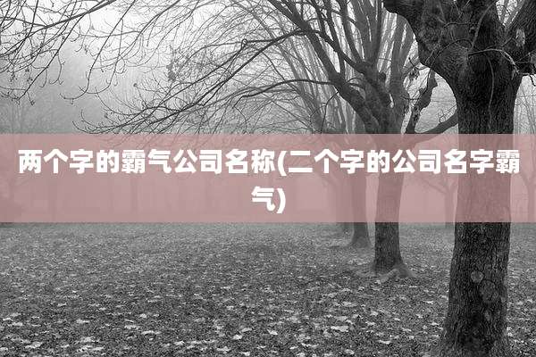 两个字的霸气公司名称(二个字的公司名字霸气)