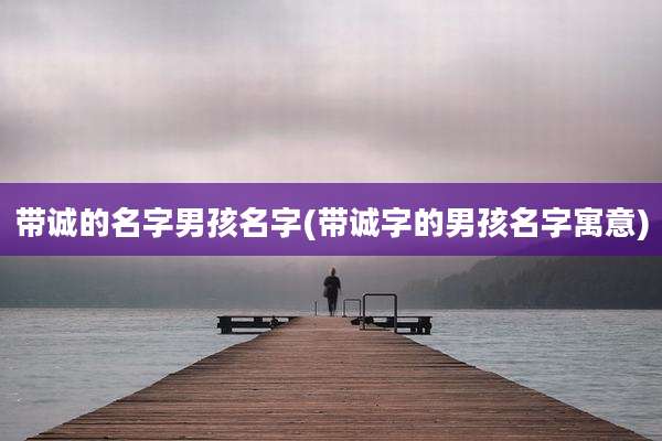 带诚的名字男孩名字(带诚字的男孩名字寓意)