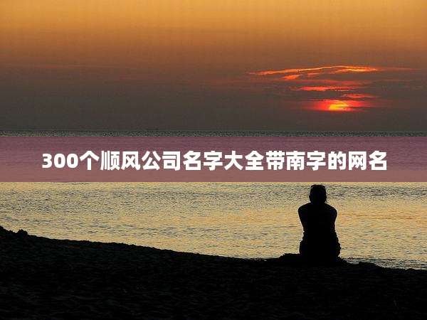 300个顺风公司名字大全带南字的网名