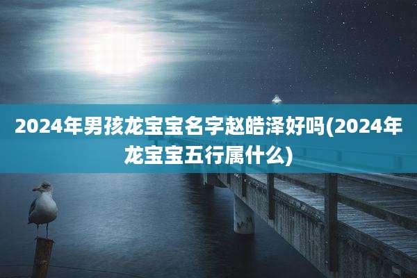 2024年男孩龙宝宝名字赵皓泽好吗(2024年龙宝宝五行属什么)