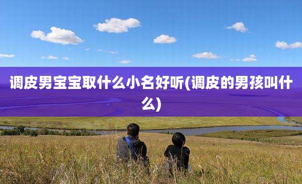 调皮男宝宝取什么小名好听(调皮的男孩叫什么)