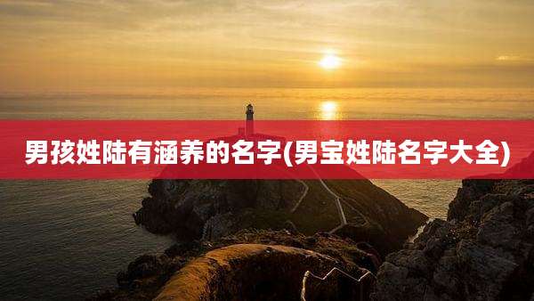 男孩姓陆有涵养的名字(男宝姓陆名字大全)