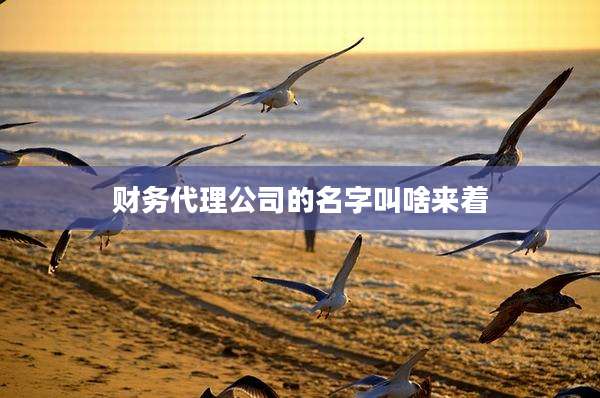 财务代理公司的名字叫啥来着