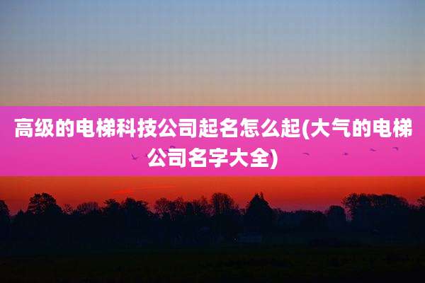 高级的电梯科技公司起名怎么起(大气的电梯公司名字大全)