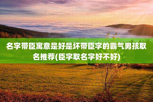 名字带臣寓意是好是坏带臣字的霸气男孩取名推荐(臣字取名字好不好)