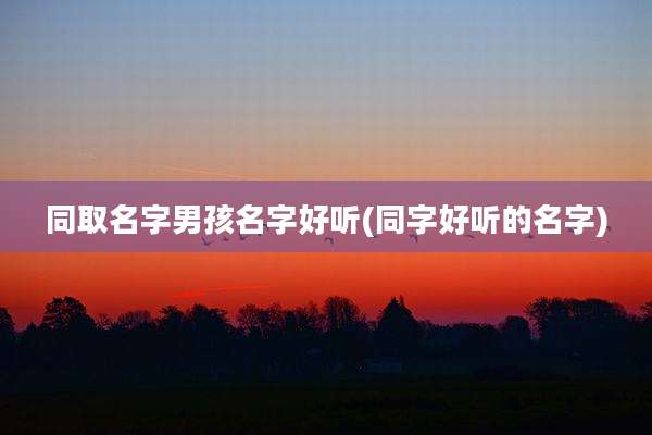 同取名字男孩名字好听(同字好听的名字)