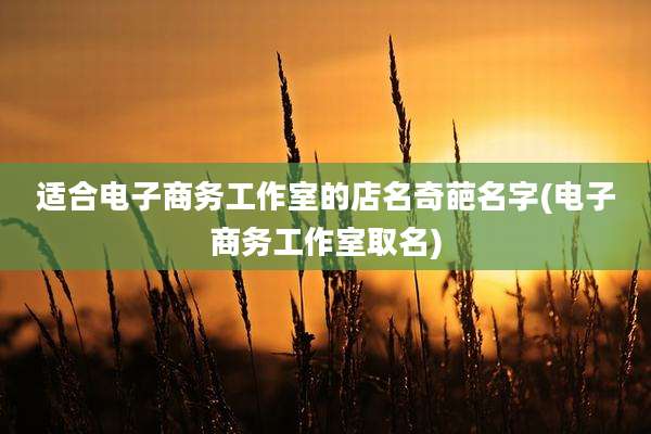 适合电子商务工作室的店名奇葩名字(电子商务工作室取名)