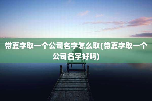 带夏字取一个公司名字怎么取(带夏字取一个公司名字好吗)