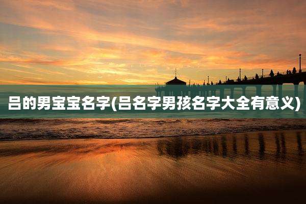 吕的男宝宝名字(吕名字男孩名字大全有意义)
