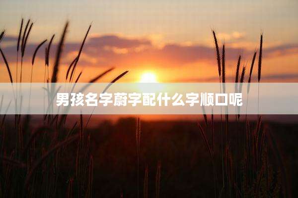 男孩名字蔚字配什么字顺口呢