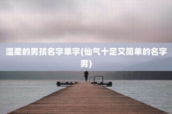 温柔的男孩名字单字(仙气十足又简单的名字男)